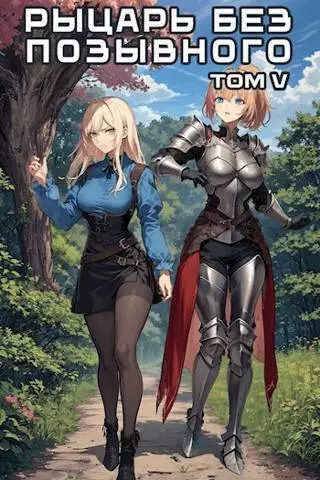 Рыцарь без позывного. Том 5