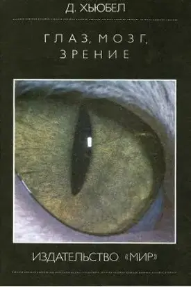 Глаз, мозг, зрение