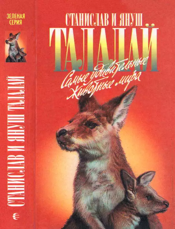 Самые удивительные животные мира