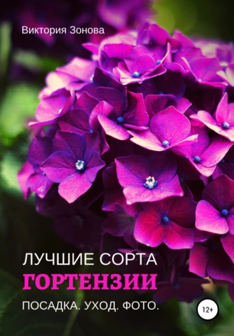 Гортензии. Лучшие сорта