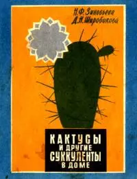 Кактусы и другие суккуленты в доме