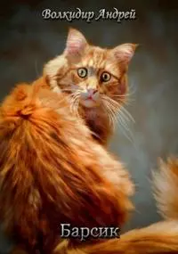 Барсик - житель трущоб [СИ]