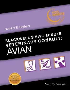 Blackwell's Five-Minute Veterinary Consult