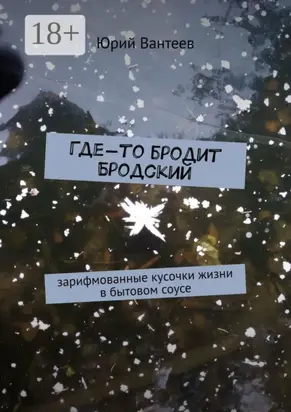 Где-то бродит Бродский. Зарифмованные кусочки жизни в бытовом соусе