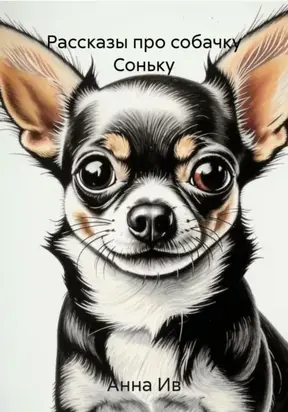 Рассказы про собачку Соньку