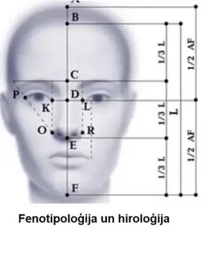 Fenotipologija un hirologija