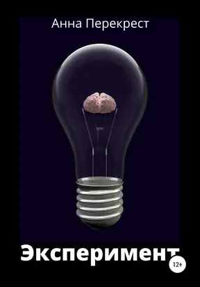 Эксперимент [litres самиздат]