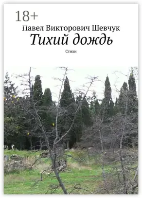 Тихий дождь. Стихи