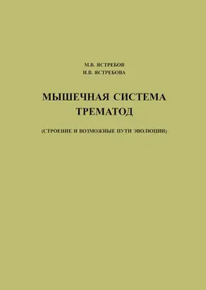 Мышечная система трематод (строение и возможные пути эволюции)