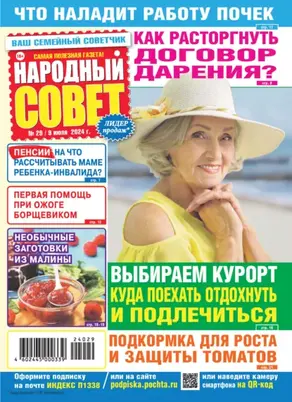 Народный совет №29/2024