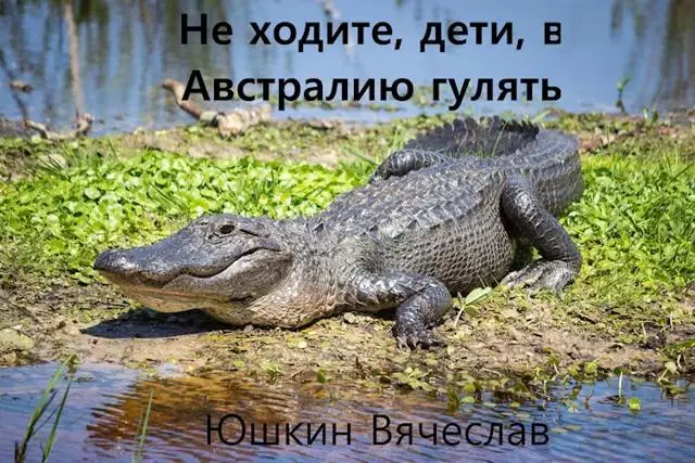 Не ходите, дети, в Австралию гулять
