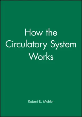 How the Circulatory System Works