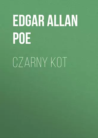 Czarny kot