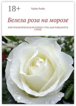 Белела роза на морозе. Или романтическая история о том, как рождаются стихи