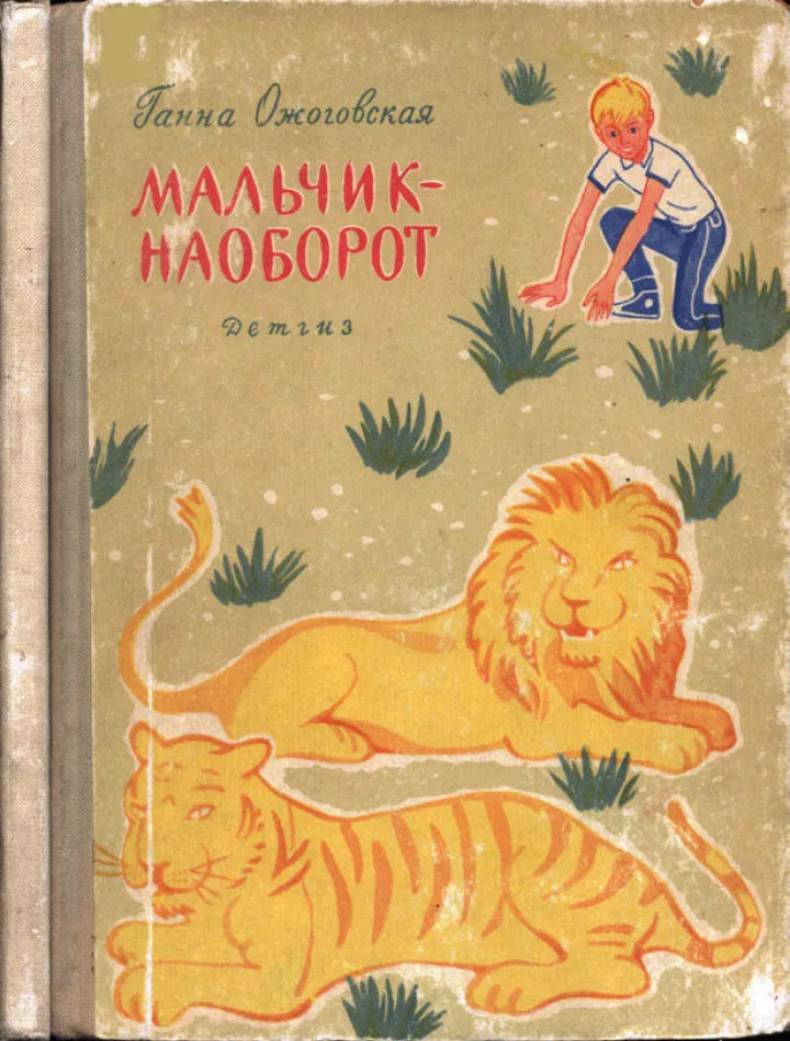 Мальчик-наоборот