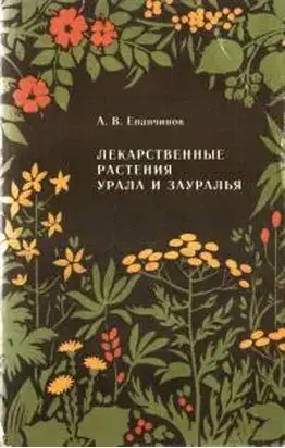 Лекарственные растения Урала и Зауралья