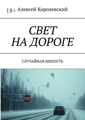 Свет на дороге. Случайная милость