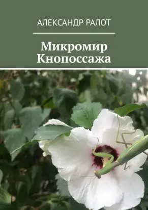 Микромир Кнопоссажа