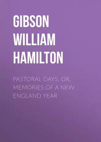 Pastoral Days; or, Memories of a New England Year