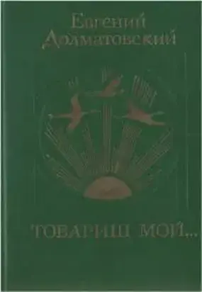 Товарищ мой