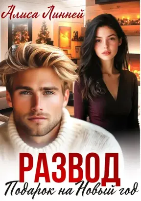 Развод. Подарок на Новый год