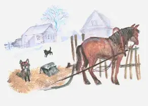 НЕВОЗВРАТНЫЕ ГОДЫ