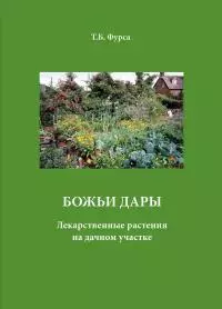 Божьи дары. Лекарственные растения на дачном участке