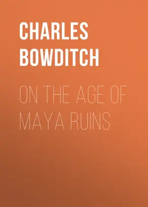 On the Age of Maya Ruins