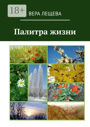 Палитра жизни