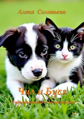 Чил и Буся Путешествие в Котопесию