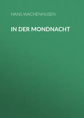 In der Mondnacht