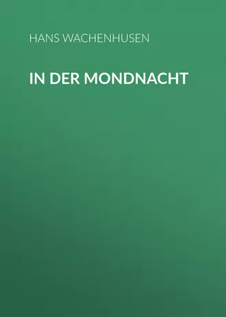 In der Mondnacht