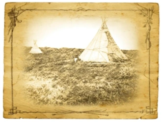 Тундра – твой дом