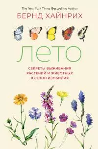 Лето: Секреты выживания растений и животных в сезон изобилия