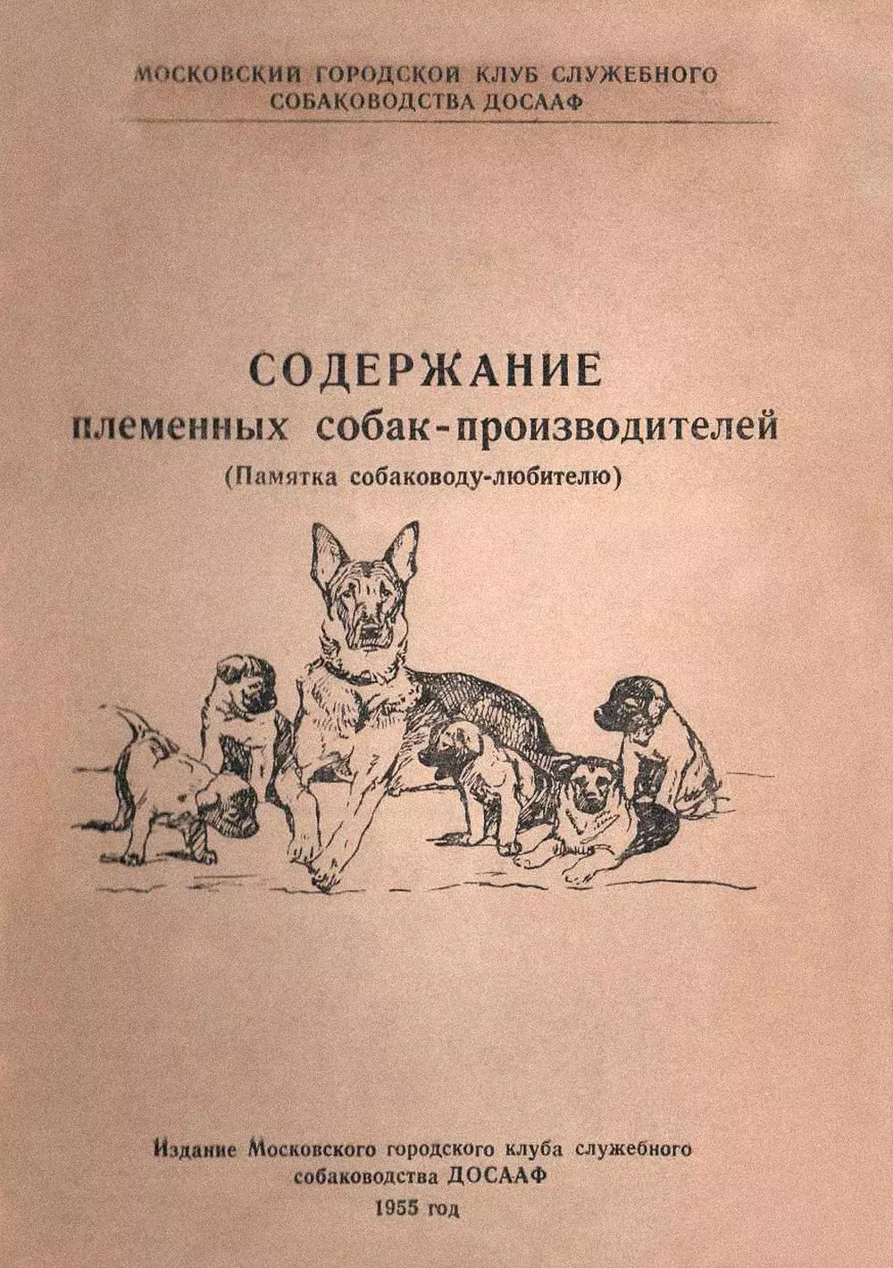 Содержание племенных собак-производителей (Памятка собаководу-любителю)