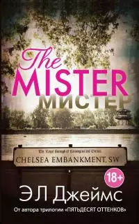 Мистер [litres]