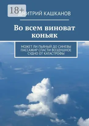 Во всем виноват коньяк. Может ли пьяный до синевы пассажир спасти воздушное судно от катастрофы