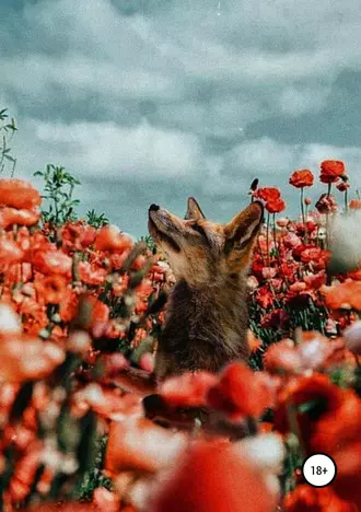 История изменений