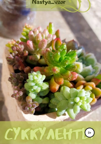 Суккуленты