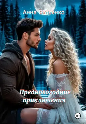 Предновогодние приключения