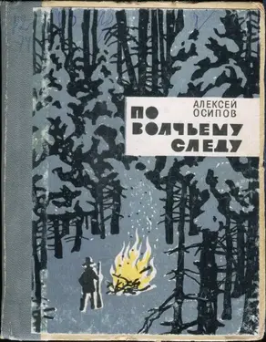 По волчьему следу