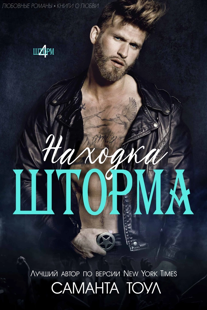 «Находка Шторма» [ЛП]
