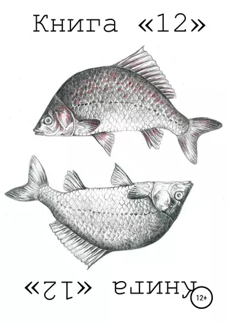 Книга «12»