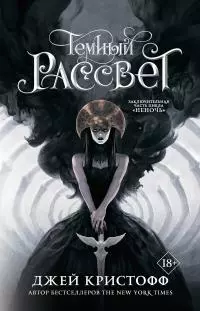 Темный рассвет [litres]