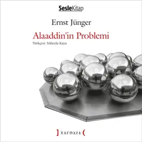 Aklını Arayan Çocuk