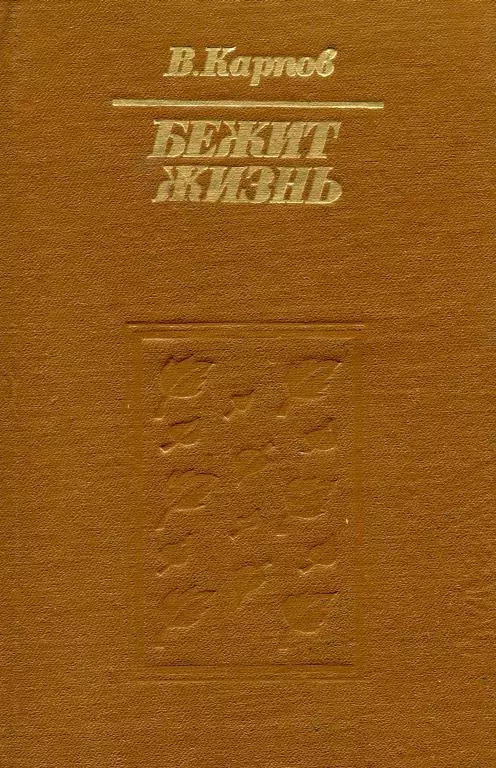 Бежит жизнь