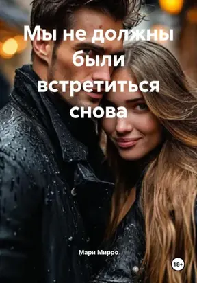Мы не должны были встретиться снова