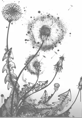 Наташа и будущее