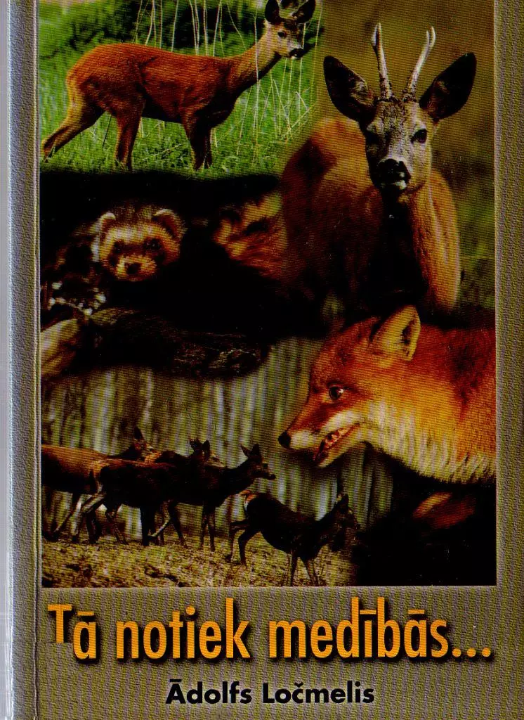 Tā notiek medībās