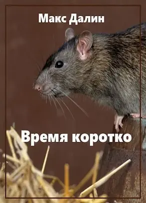 Время коротко